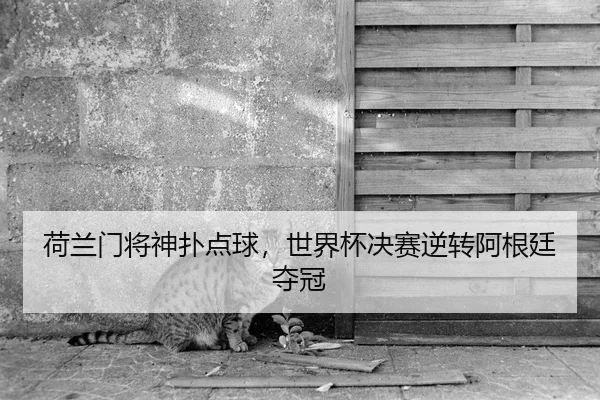 荷兰门将神扑点球，世界杯决赛逆转阿根廷夺冠